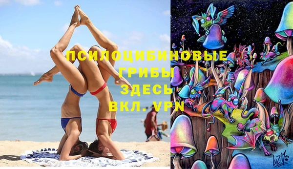 бошки Михайловск