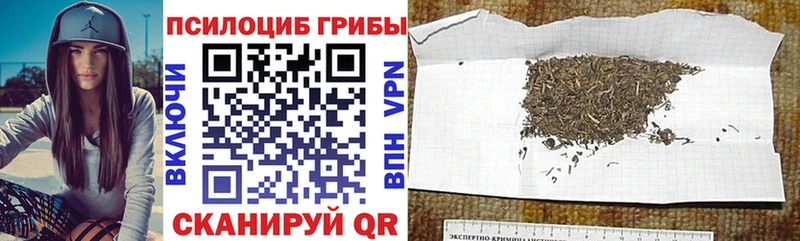Псилоцибиновые грибы прущие грибы  Купить где  Струнино 